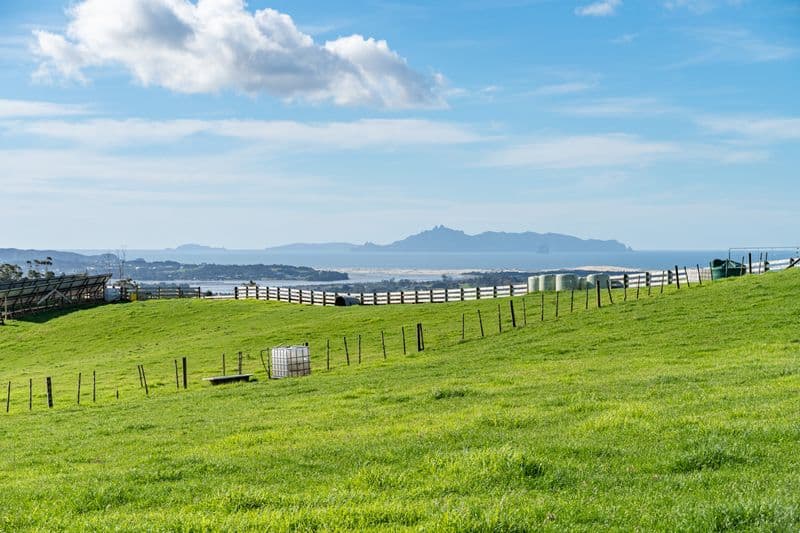 Lot 2 Cames Road, Mangawhai, Kaipara, Northland | Tall Poppy 