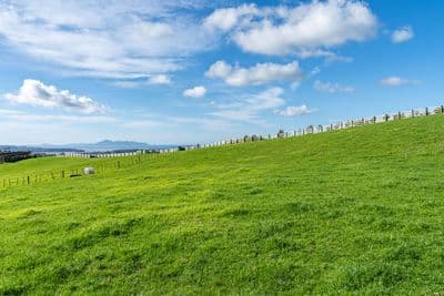 Lot 2 Cames Road, Mangawhai, Kaipara, Northland | Tall Poppy 