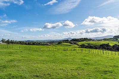 Lot 2 Cames Road, Mangawhai, Kaipara, Northland | Tall Poppy 