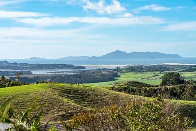 Lot 2 Cames Road, Mangawhai, Kaipara, Northland | Tall Poppy 
