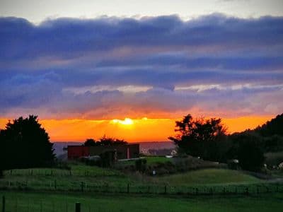 Lot 1 Carters Road, Mangawhai, Kaipara, Northland | Tall Poppy 