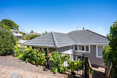 273 Hillsborough Road, Hillsborough, Auckland City, Auckland | Tall Poppy 