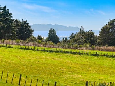 Lot 2, 310 Cames Road, Mangawhai, Kaipara, Northland | Tall Poppy 