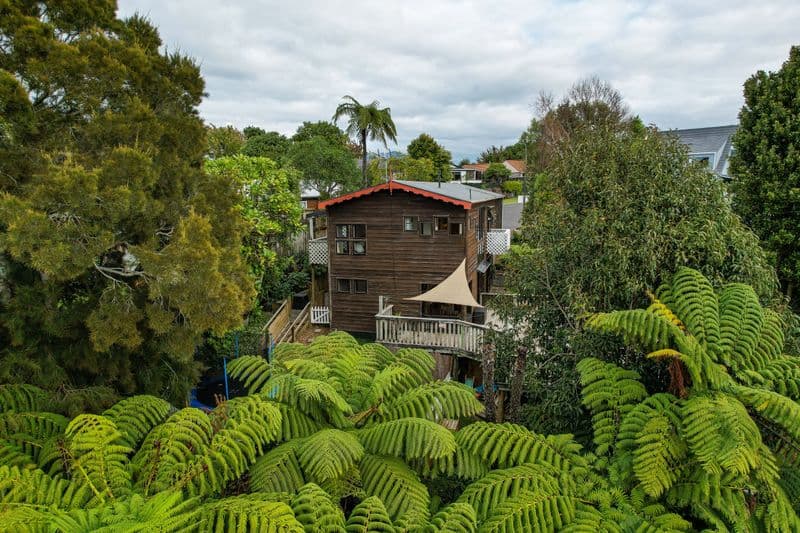 13 Honnor Place, Hurdon, New Plymouth, Taranaki | Tall Poppy 