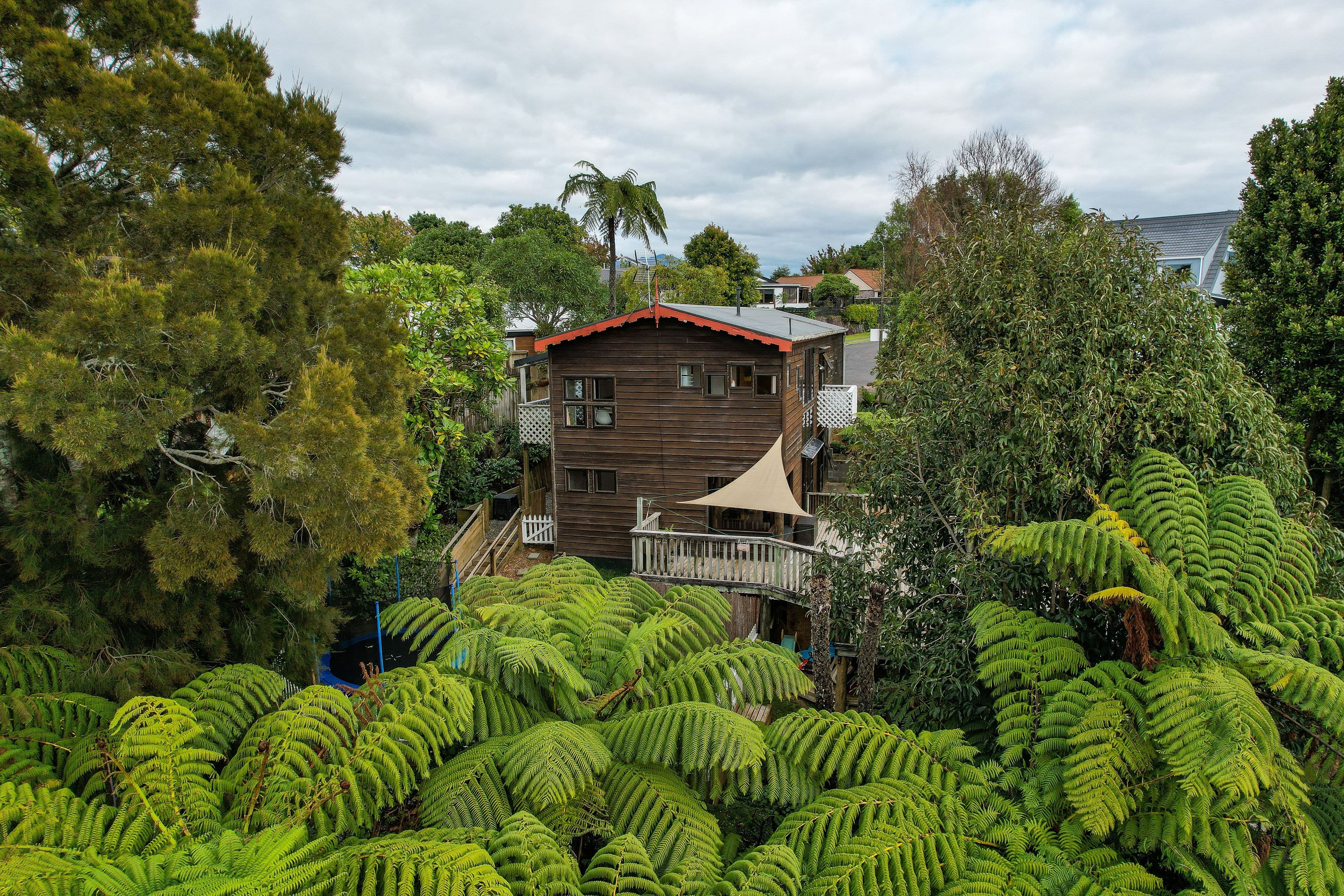 13 Honnor Place, Hurdon, New Plymouth, Taranaki | Tall Poppy 