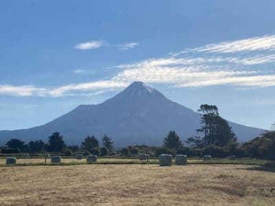 39 Rugby Road, Inglewood, New Plymouth, Taranaki | Tall Poppy 