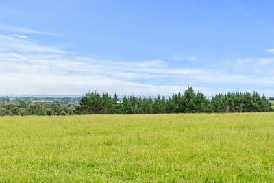 389 Wortley Road, Waiongana, New Plymouth, Taranaki | Tall Poppy 