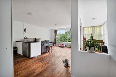 188 Huatoki Street, Upper Vogeltown, New Plymouth, Taranaki | Tall Poppy 