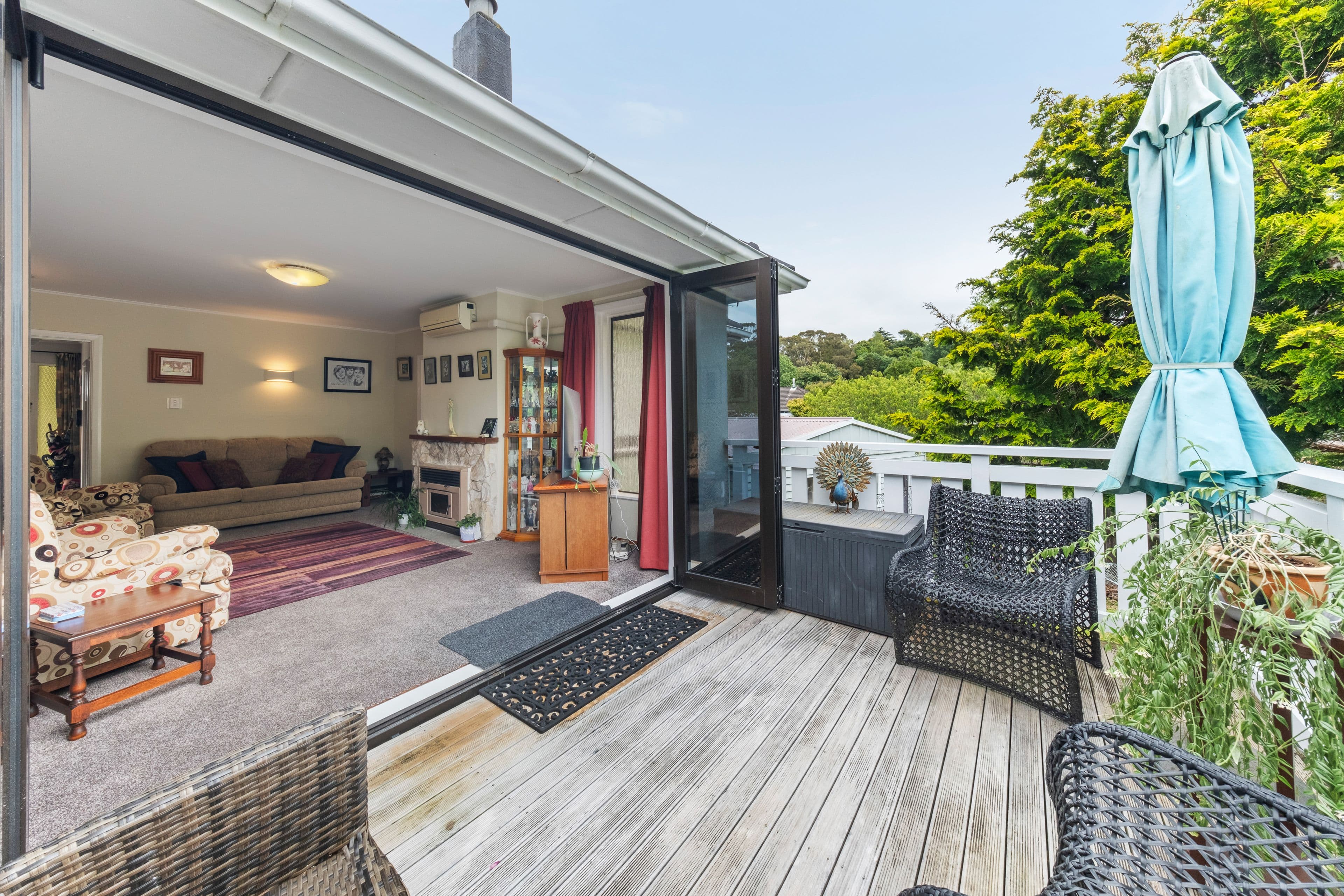 10 and 8c Camden Street, Vogeltown, New Plymouth, Taranaki | Tall Poppy 