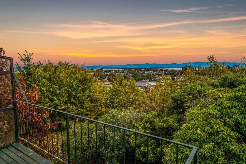 4 Tamaki Street, Tahunanui, Nelson, Nelson | Tall Poppy 