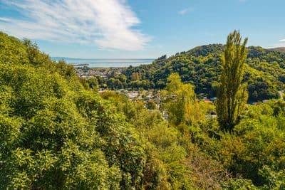 2 City Heights, Maitai, Nelson, Nelson | Tall Poppy 
