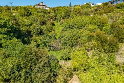2 City Heights, Maitai, Nelson, Nelson | Tall Poppy 