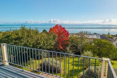 17 Jackson Street, Marybank, Nelson, Nelson | Tall Poppy 