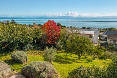 17 Jackson Street, Marybank, Nelson, Nelson | Tall Poppy 