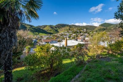 52 Dodson Valley Road, Atawhai, Nelson, Nelson | Tall Poppy 
