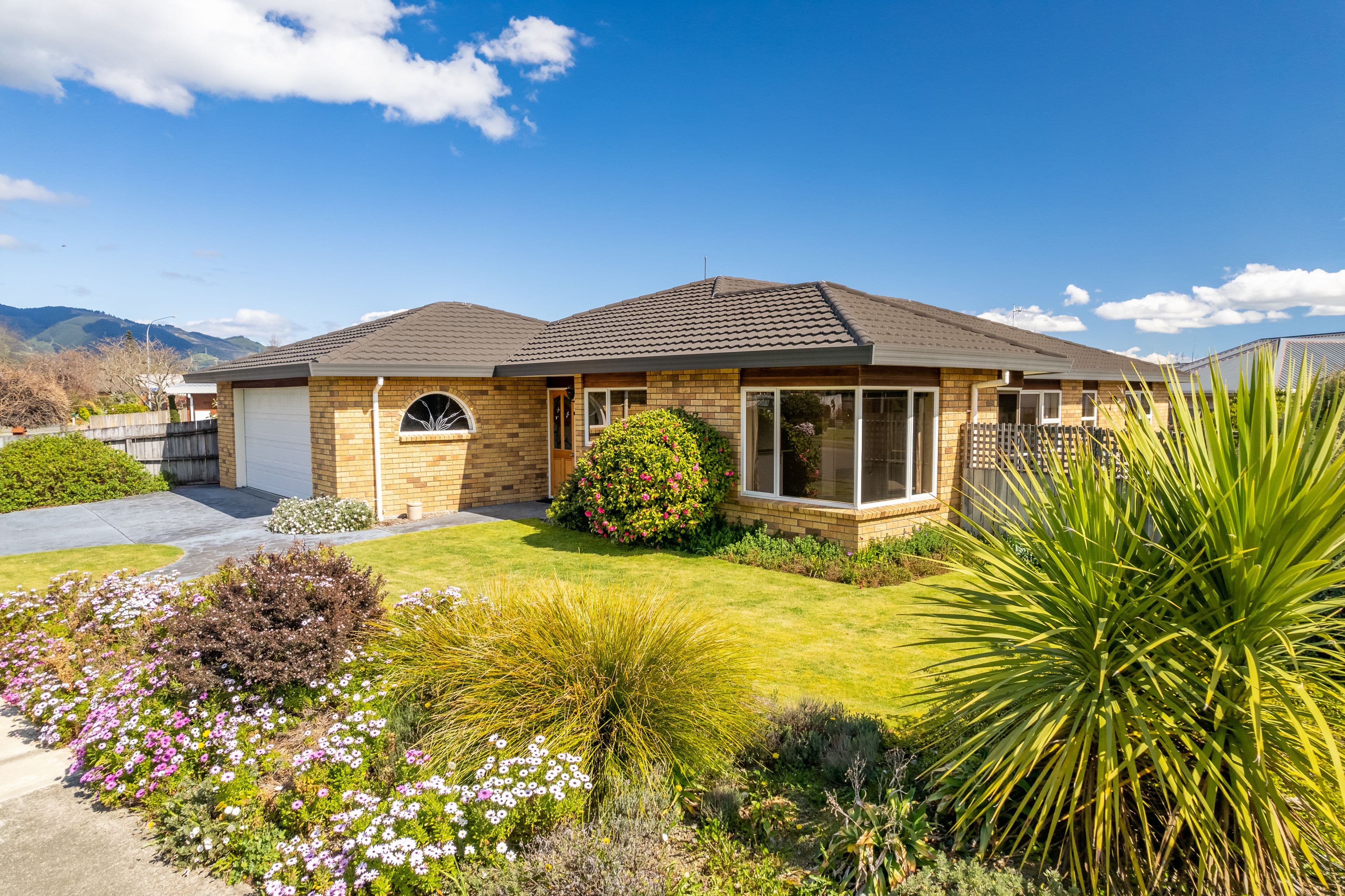 38 Masefield Street, Stoke, Nelson, Nelson | Tall Poppy 