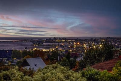 10 George Kidd Street, Richmond , Tasman, Nelson | Tall Poppy 