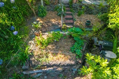 80 Mount Street, Nelson South, Nelson, Nelson | Tall Poppy 