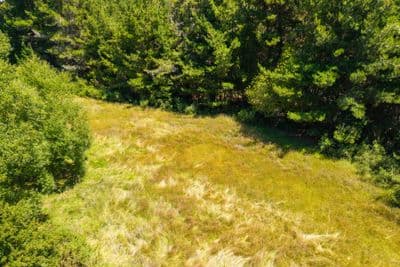 51 Mahana School Road, Mahana, Tasman, Nelson | Tall Poppy 