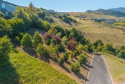 16 Heemskerck Place, Britannia Heights, Nelson, Nelson | Tall Poppy 