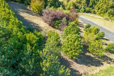 16 Heemskerck Place, Britannia Heights, Nelson, Nelson | Tall Poppy 