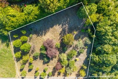 16 Heemskerck Place, Britannia Heights, Nelson, Nelson | Tall Poppy 