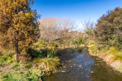70 Harvey Road, Marahau, Tasman, Nelson | Tall Poppy 