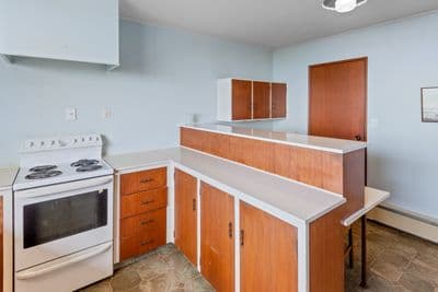 58 Aln Street, Oamaru, Waitaki, Otago | Tall Poppy 