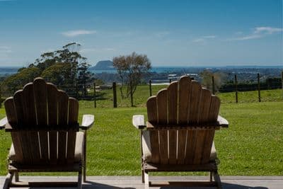 423C Youngson Road, Whakamarama, Western Bay Of Plenty, Bay of Plenty | Tall Poppy 