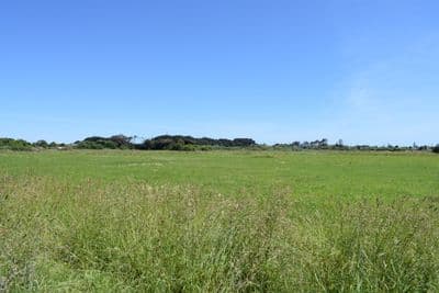 Lot 1-120 Rangiuru Road, Otaki Beach, Kapiti Coast, Wellington | Tall Poppy 