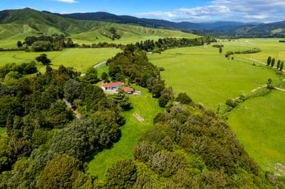 311 Rahui Road, Otaki, Kapiti Coast, Wellington | Tall Poppy 