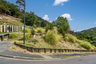 10 Kakapo Rise, Picton, Picton, Marlborough | Tall Poppy 