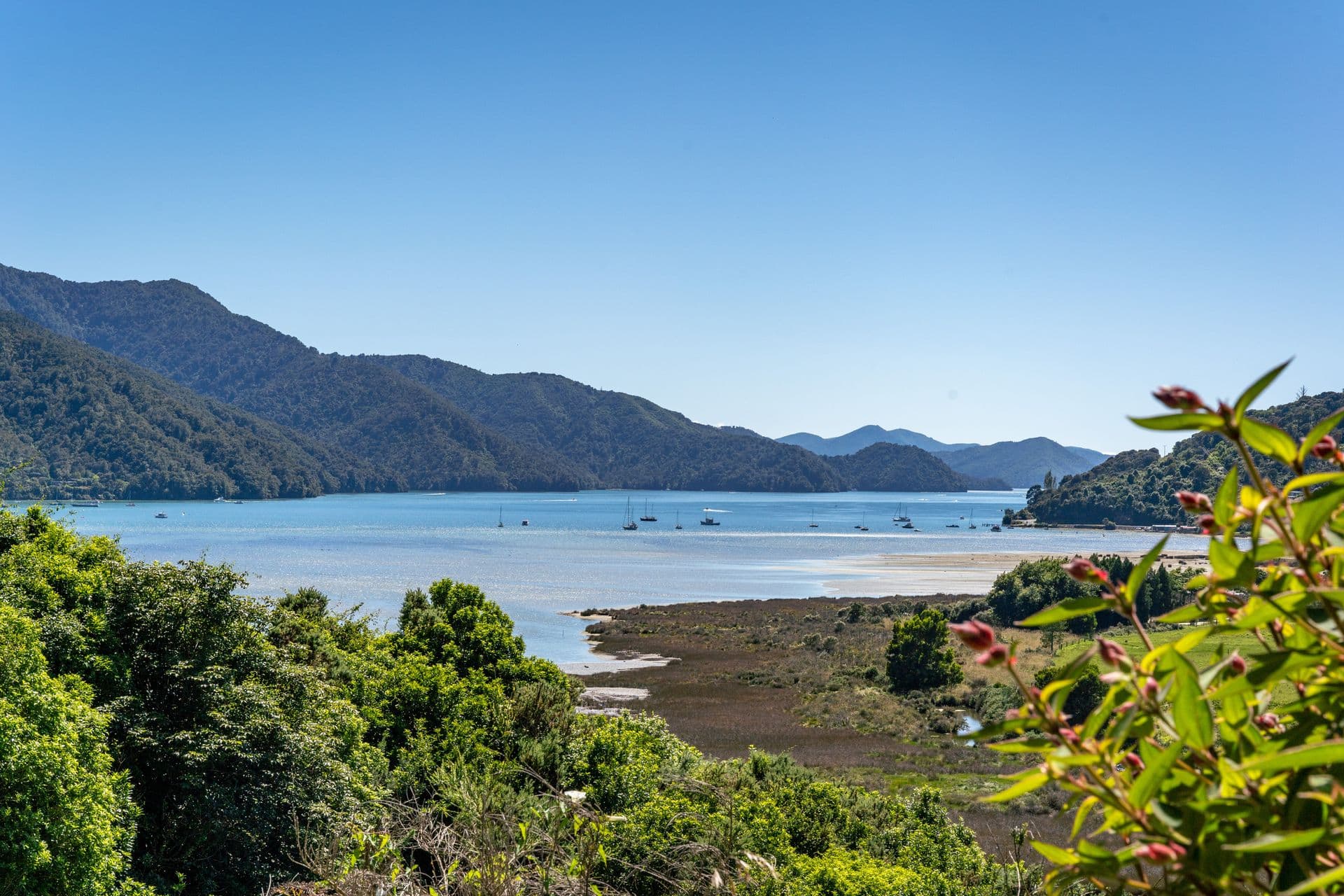 109 Anakiwa Road, Anakiwa, Marlborough, Marlborough | Tall Poppy 