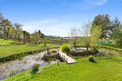 16 Mount Biggs Road, Halcombe, Manawatu, Manawatu | Tall Poppy 