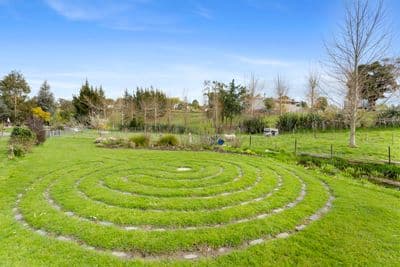 16 Mount Biggs Road, Halcombe, Manawatu, Manawatu | Tall Poppy 