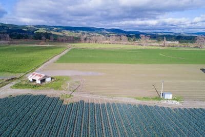 352 - 362 Te Matai Road, Whakarongo, Palmerston North City, Manawatu | Tall Poppy 