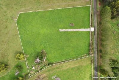 204 Waituna Road, Pahiatua, Tararua, Manawatu | Tall Poppy 