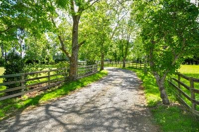 271 Taipo Road RD 6 Palmerston North, Rongotea, Manawatu, Manawatu | Tall Poppy 