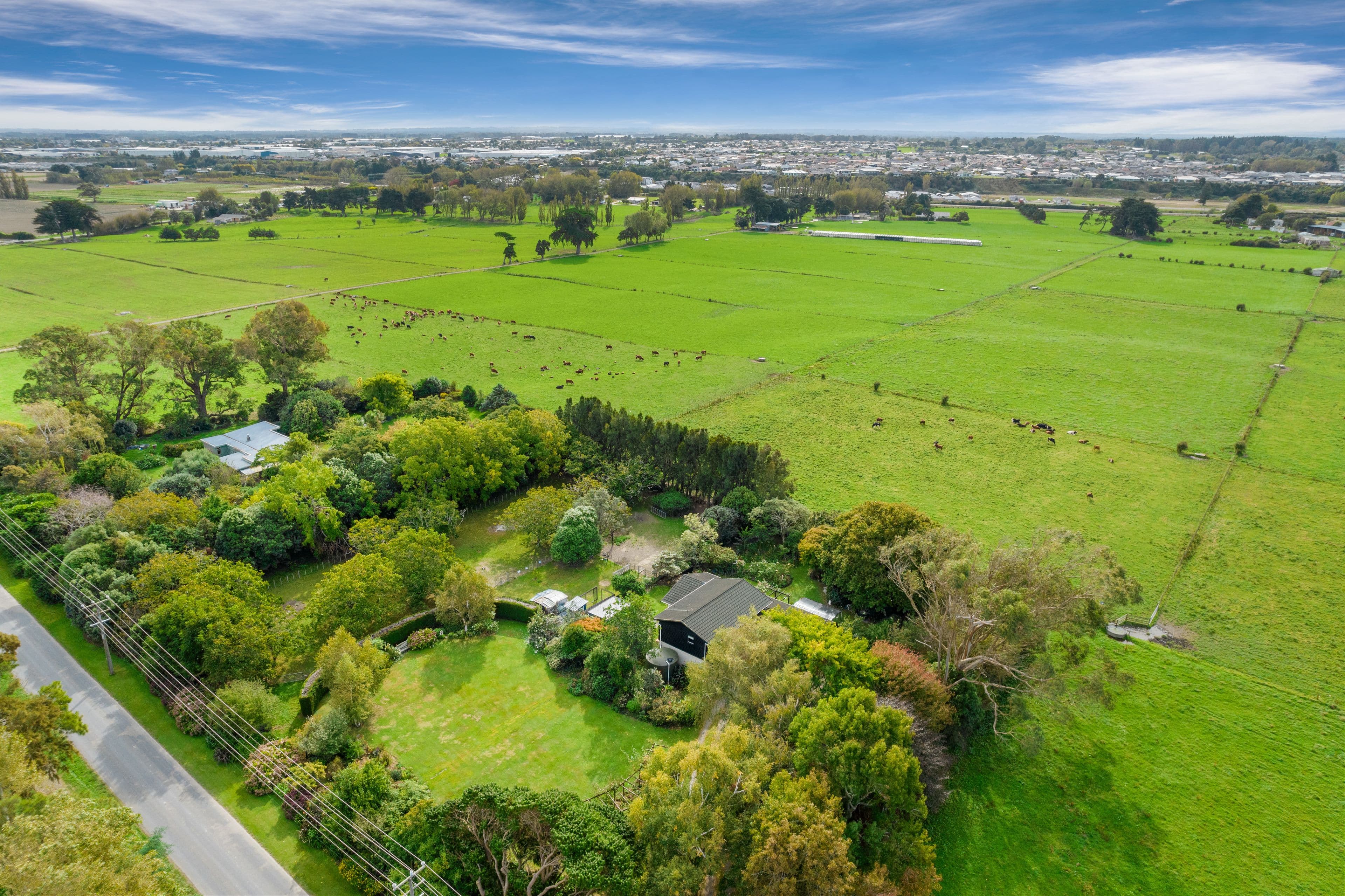 107 Te Matai Road, Whakarongo, Palmerston North City, Manawatu | Tall Poppy 