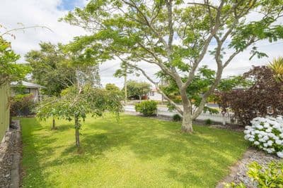 42 Tararua Terrace, Cloverlea, Palmerston North City, Manawatu | Tall Poppy 