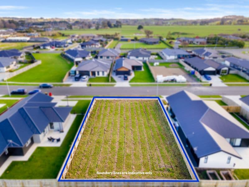 58 Accolade Street, Feilding, Manawatu, Manawatu | Tall Poppy 