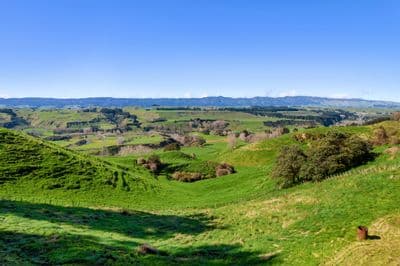 2850 Kimbolton Road, Kimbolton, Manawatu, Manawatu | Tall Poppy 