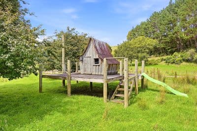 135 Surreydale Road, Pahiatua, Tararua, Manawatu | Tall Poppy 