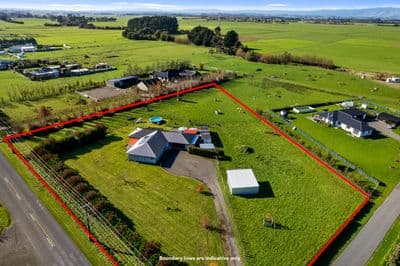 394A Makino Road, Feilding, Manawatu, Manawatu | Tall Poppy 