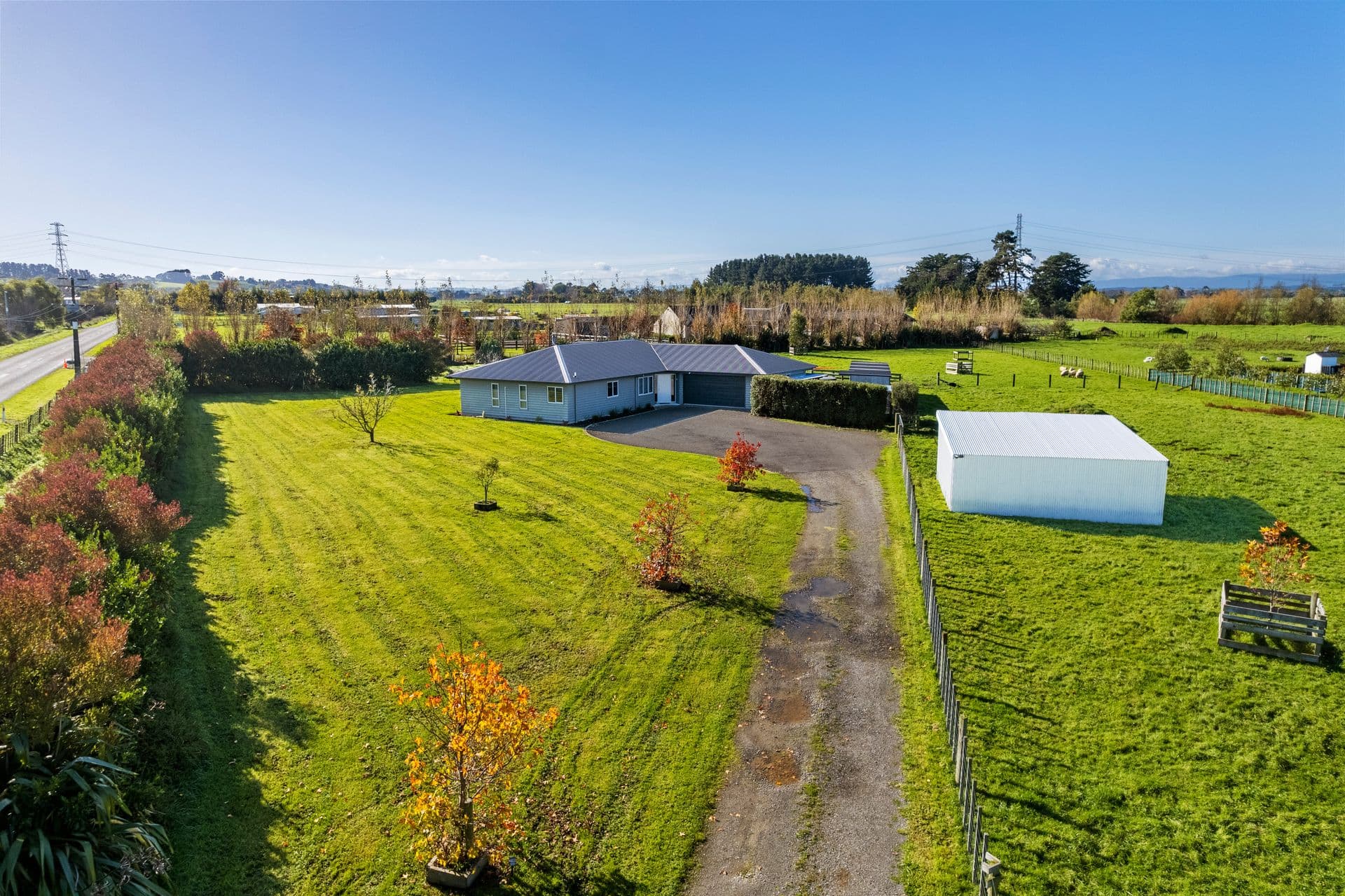 394A Makino Road, Feilding, Manawatu, Manawatu | Tall Poppy 