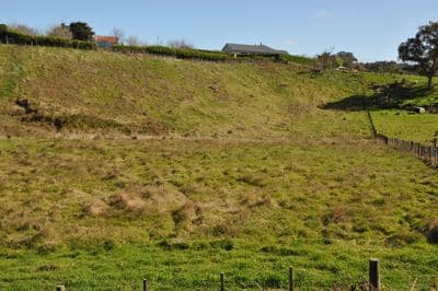 42 Knorp Street, Halcombe, Manawatu, Manawatu | Tall Poppy 