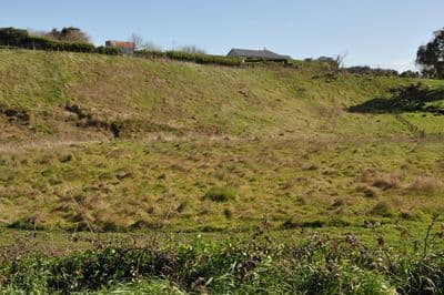 42 Knorp Street, Halcombe, Manawatu, Manawatu | Tall Poppy 