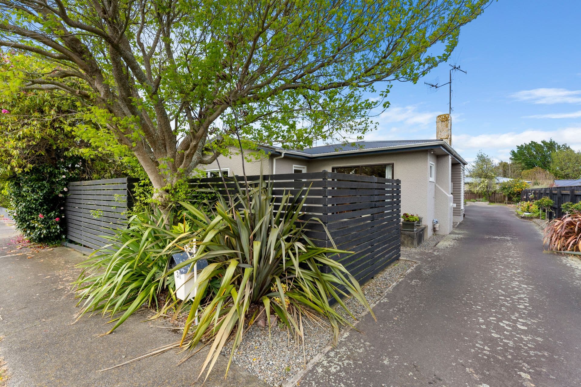 31 Windsor Street, Terrace End, Palmerston North City, Manawatu | Tall Poppy 