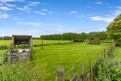 602 Pukehoi Road, Eketahuna, Tararua, Wairarapa | Tall Poppy 