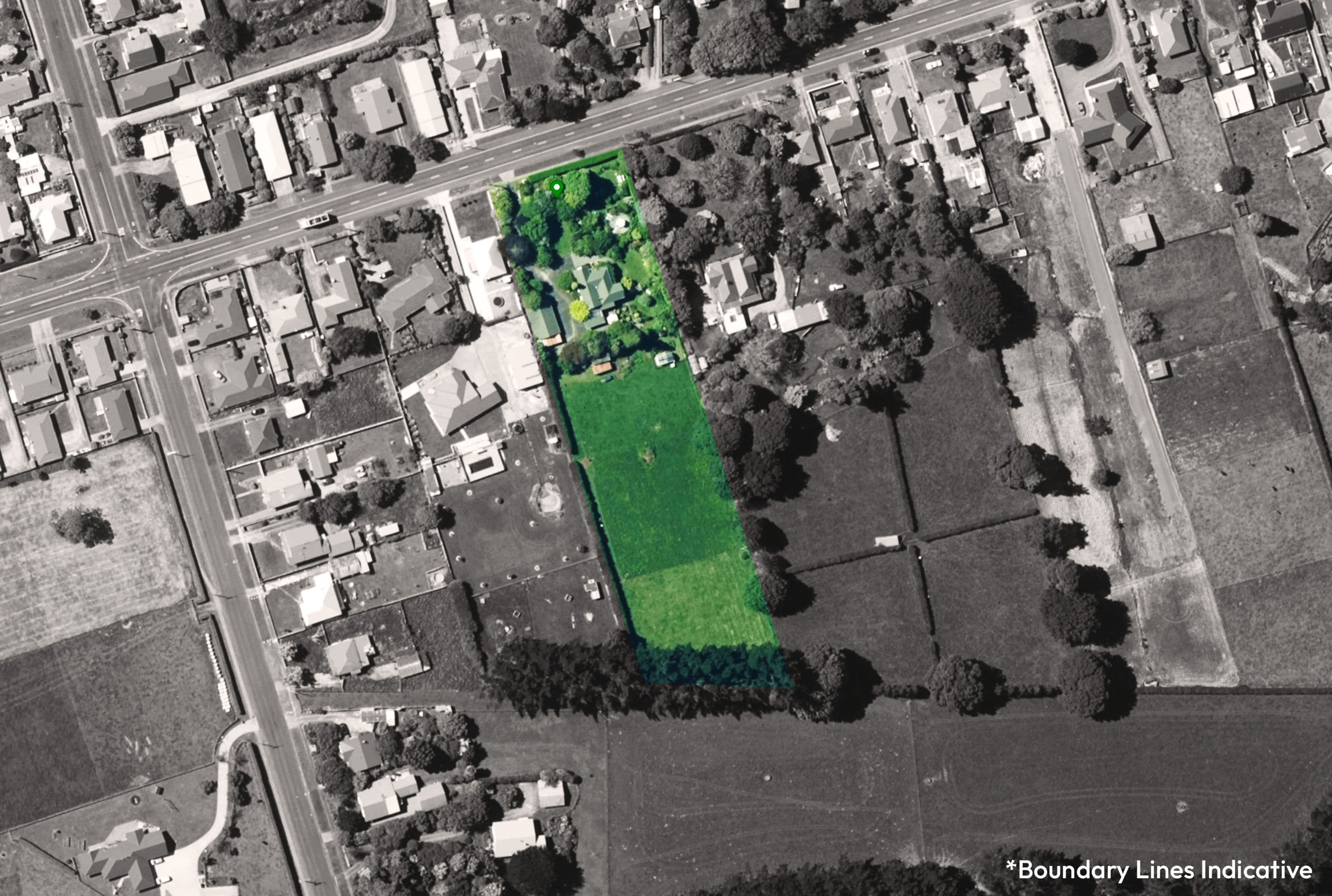 193 Regan Street, Stratford, Stratford, Taranaki | Tall Poppy 